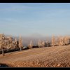 20071229_046